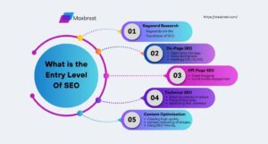 What is The Entry Level Of SEO